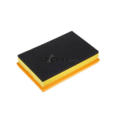 Filtro aria PURFLUX A1233