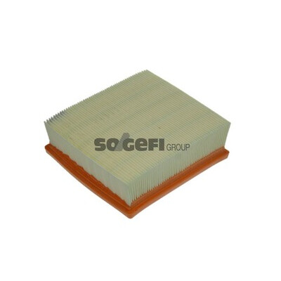 Filtro aria PURFLUX A1234