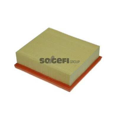 Filtro aria PURFLUX A1238