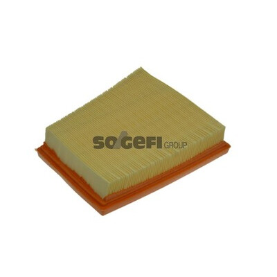 Filtro aria PURFLUX A1240