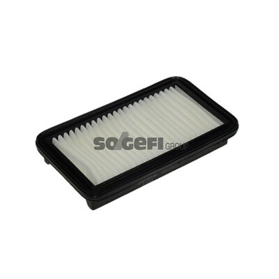 Filtro aria PURFLUX A1241