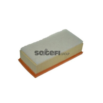 Filtro aria PURFLUX A1244