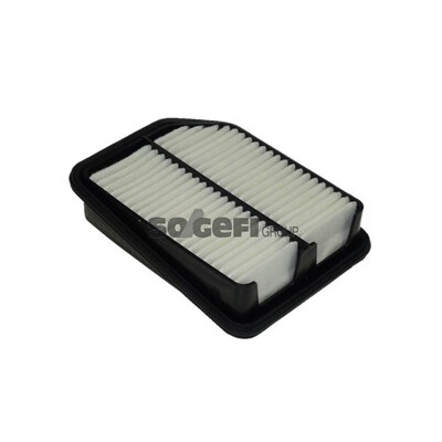 Filtro aria PURFLUX A1245