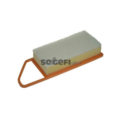 Filtro aria PURFLUX A1247