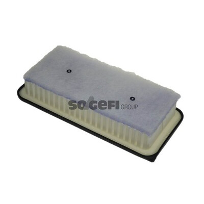 Filtro aria PURFLUX A1251