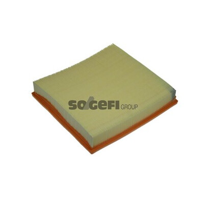 Filtro aria PURFLUX A1252