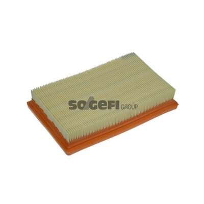 Filtro aria PURFLUX A1253