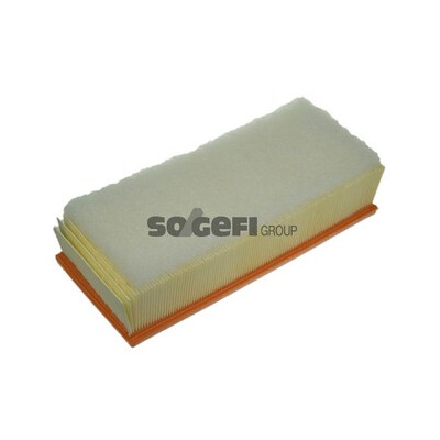 Filtro aria PURFLUX A1257