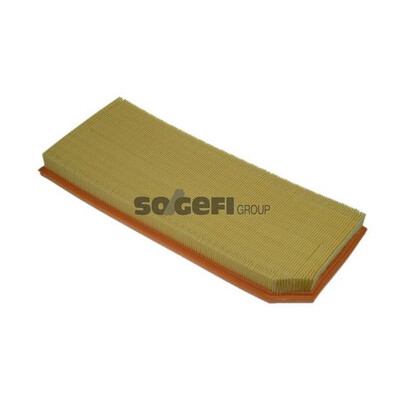 Filtro aria PURFLUX A1259