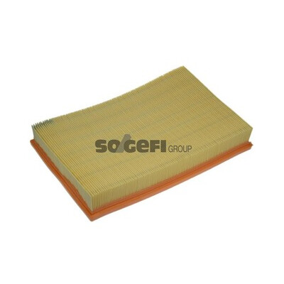 Filtro aria PURFLUX A1260