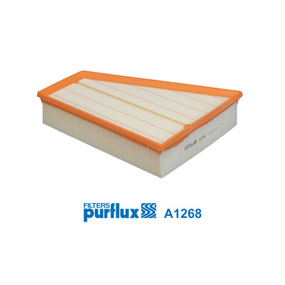 Filtro aria PURFLUX A1268