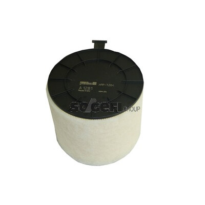Filtro aria PURFLUX A1281