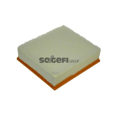 Filtro aria PURFLUX A1287