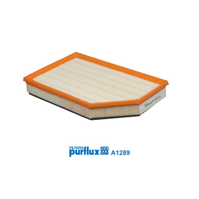 Filtro aria PURFLUX A1289