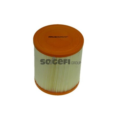 Filtro aria PURFLUX A1291