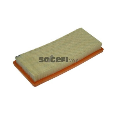 Filtro aria PURFLUX A1295