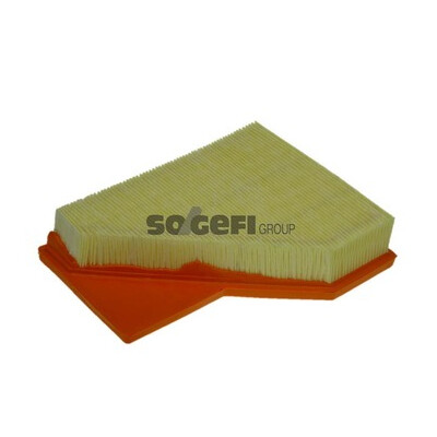 Filtro aria PURFLUX A1299