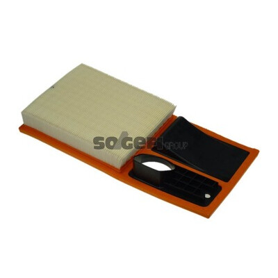 Filtro aria PURFLUX A1301