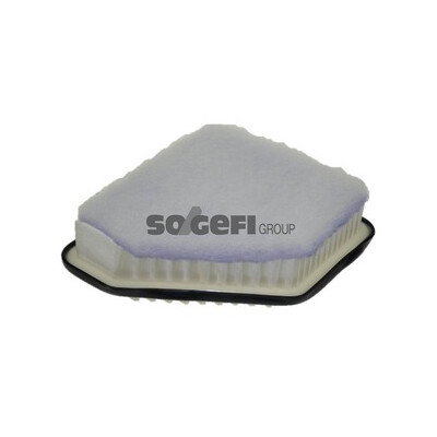 Filtro aria PURFLUX A1306