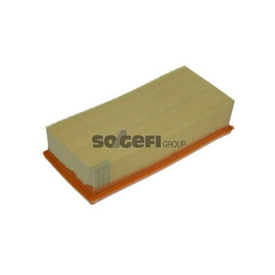 Filtro aria PURFLUX A1307