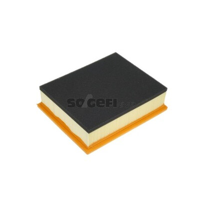 Filtro aria PURFLUX A1308