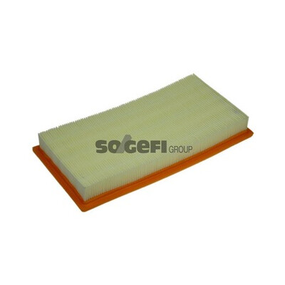 Filtro aria PURFLUX A1310
