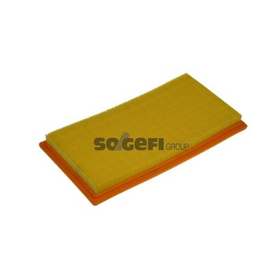 Filtro aria PURFLUX A1311