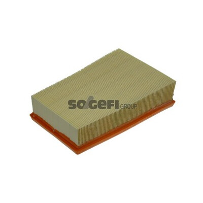 Filtro aria PURFLUX A1317
