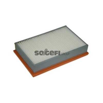 Filtro aria PURFLUX A1320