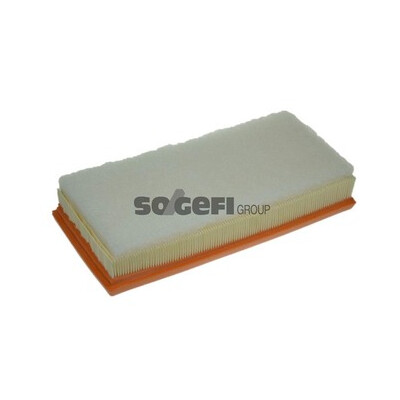 Filtro aria PURFLUX A1325