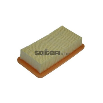 Filtro aria PURFLUX A1331