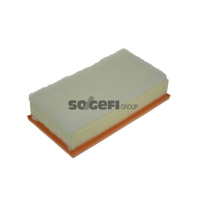 Filtro aria PURFLUX A1335