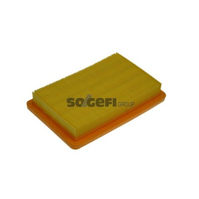 Filtro aria PURFLUX A1345