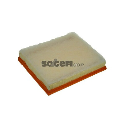 Filtro aria PURFLUX A1346