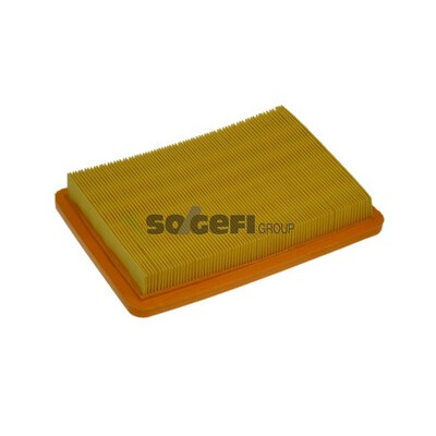 Filtro aria PURFLUX A1359