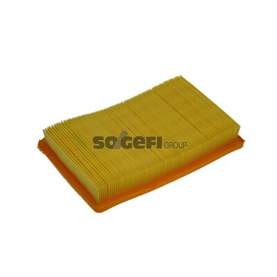 Filtro aria PURFLUX A1369