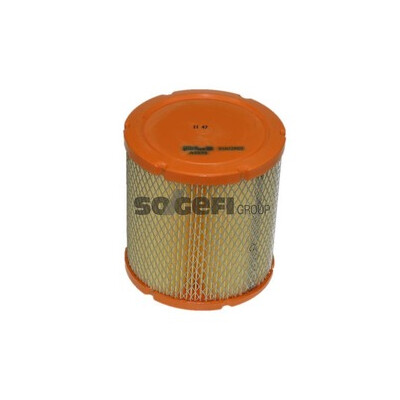 Filtro aria PURFLUX A1373