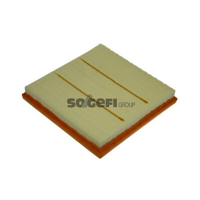 Filtro aria PURFLUX A1380