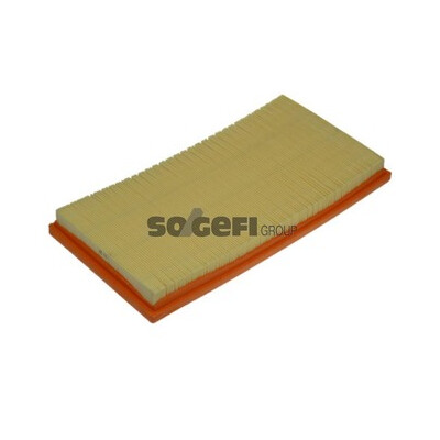 Filtro aria PURFLUX A1388
