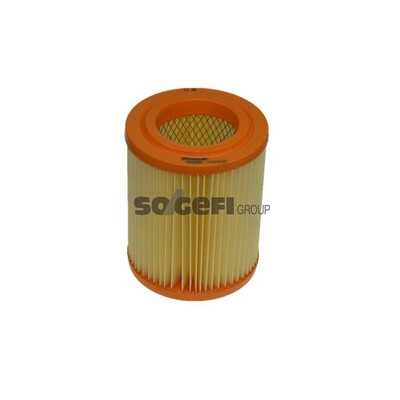 Filtro aria PURFLUX A1392