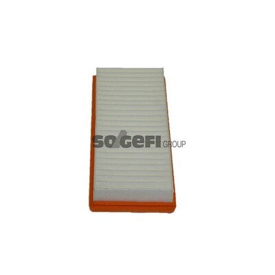 Filtro aria PURFLUX A1509