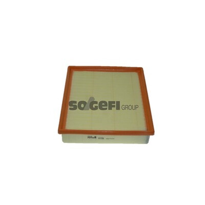 Filtro aria PURFLUX A1538