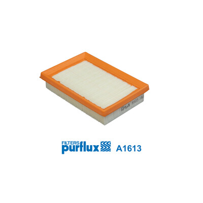 Filtro aria PURFLUX A1613