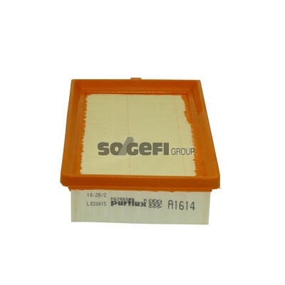 Filtro aria PURFLUX A1614