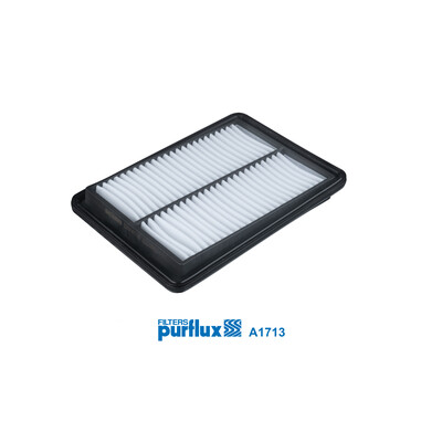 Filtro aria PURFLUX A1713