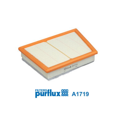 Filtro aria PURFLUX A1719