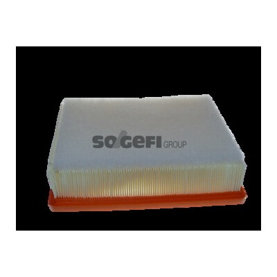 Filtro aria PURFLUX A1789