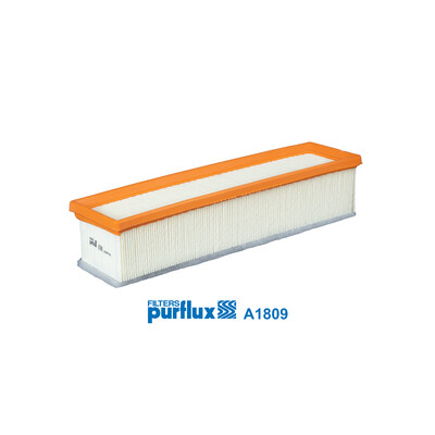 Filtro aria PURFLUX A1809