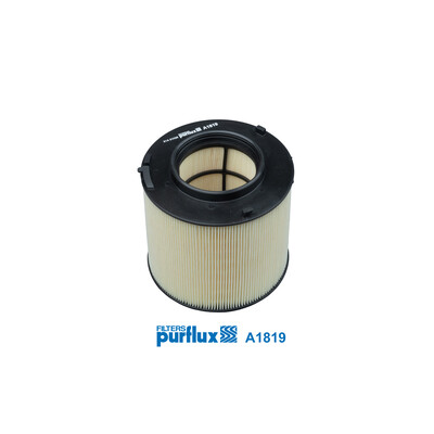 Filtro aria PURFLUX A1819