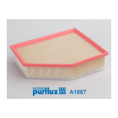 Filtro aria PURFLUX A1867